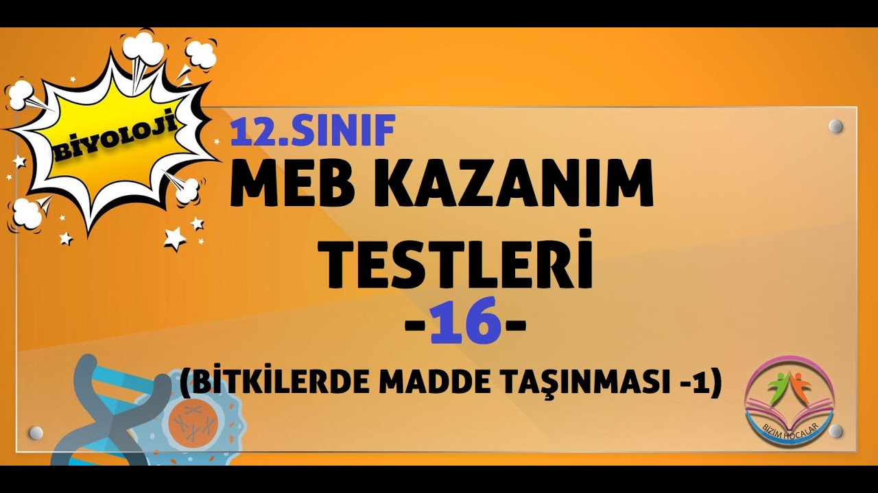 Biyoloji MEB kazanım kavrama testleri 12.sınıf -16- (Bitkilerde madde taşınması-1)