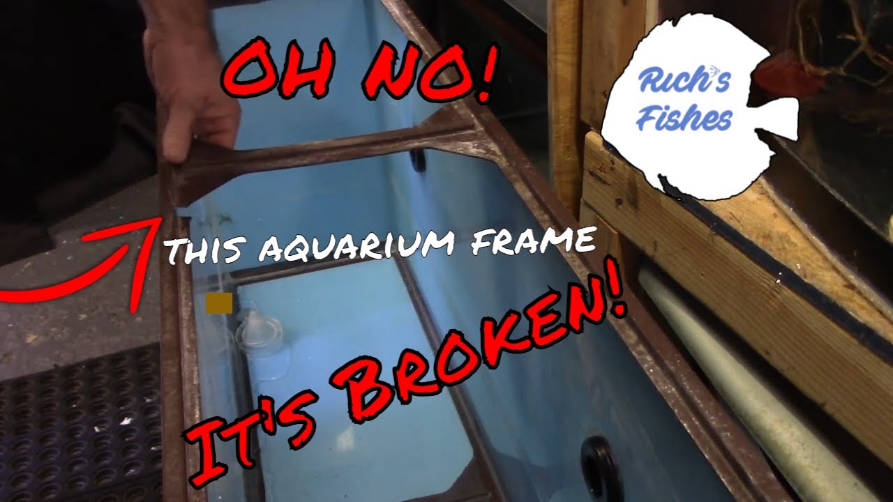 Fix a Broken Aquarium Frame