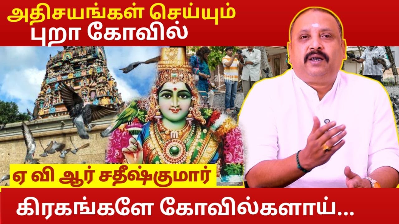 அதிசயங்கள் செய்யும் புறா கோவில் | Astrologer in Tamil | AVR Sathish Kumar | Meenakshi Amman temple