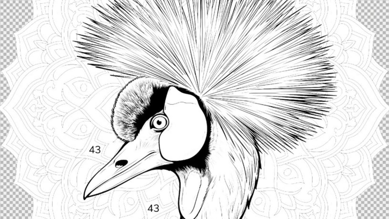 The head of a popper with a crown of unique feathers against a mandala background. | Coloring Games