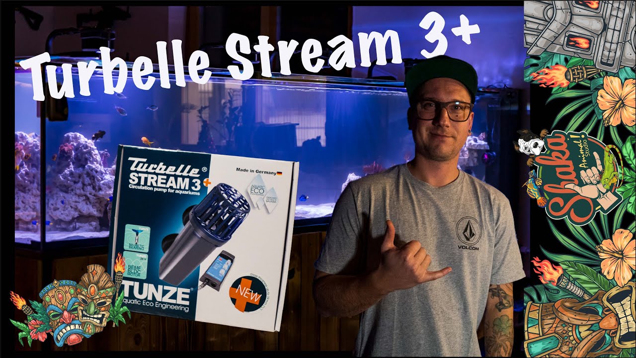 Vorstellung Tunze Turbelle stream 3+ Strömungspumpe