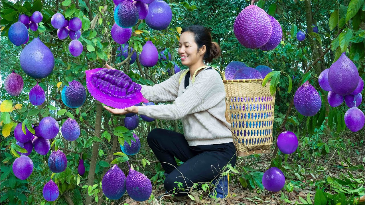 Harvest Purple forest Gac Fruit go to the market sell - Cook delicious fried pork & quail eggs