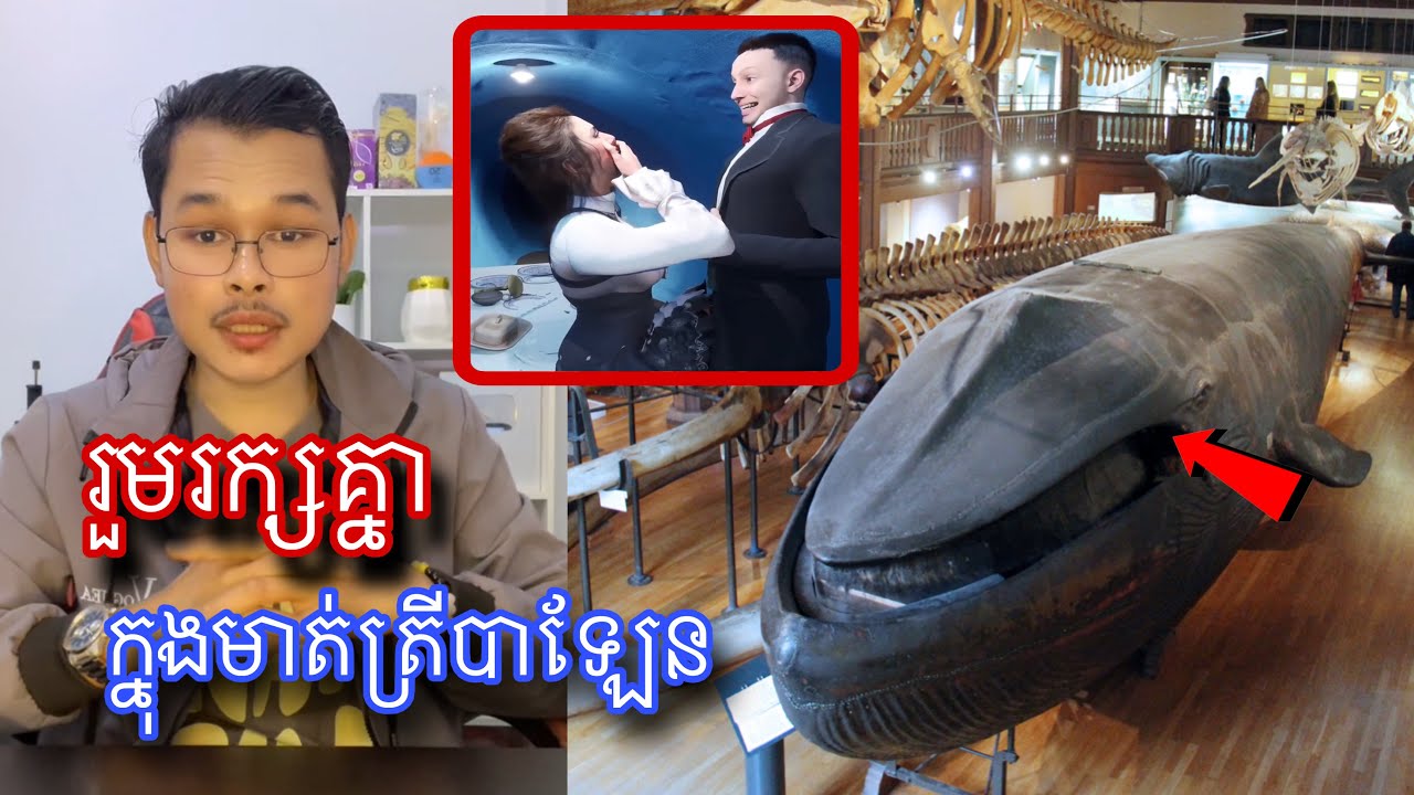 គូស្នេហ៌មួយគូរសម្រេចចិត្តនាំគ្នាទៅរួមរក្សក្នុងមាត់ត្រីបាឡែន l Mr.Veasna