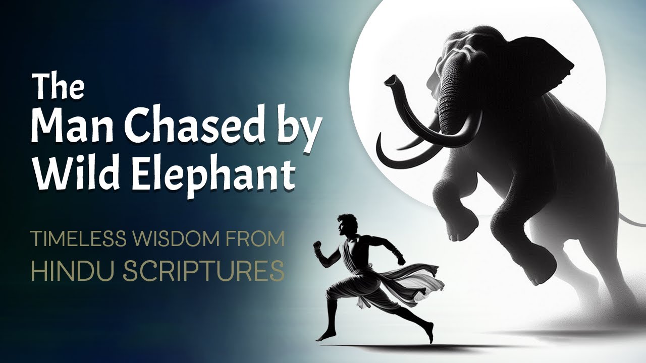 The Chasing Elephant: A Powerful Story on Life, Death & Liberation