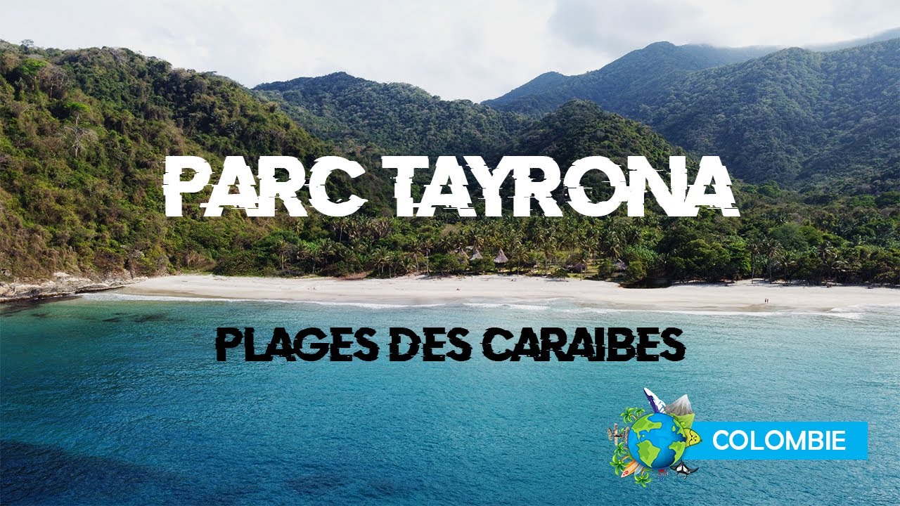 Ep17. Les plus belles plages du Parc Tayrona, au coeur des caraïbes colombiennes - Diving Potatoes