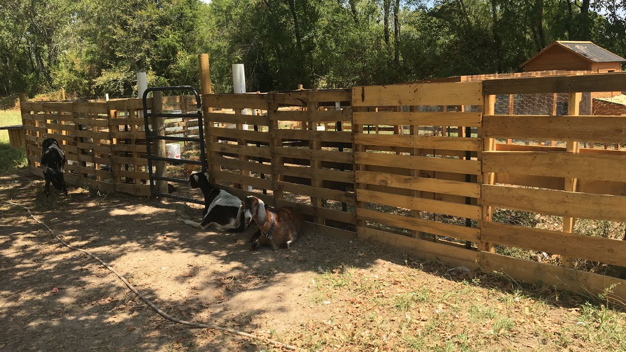 💰DIY Pallet Fence UNDER $200 for goats, chickens, horse, cattle