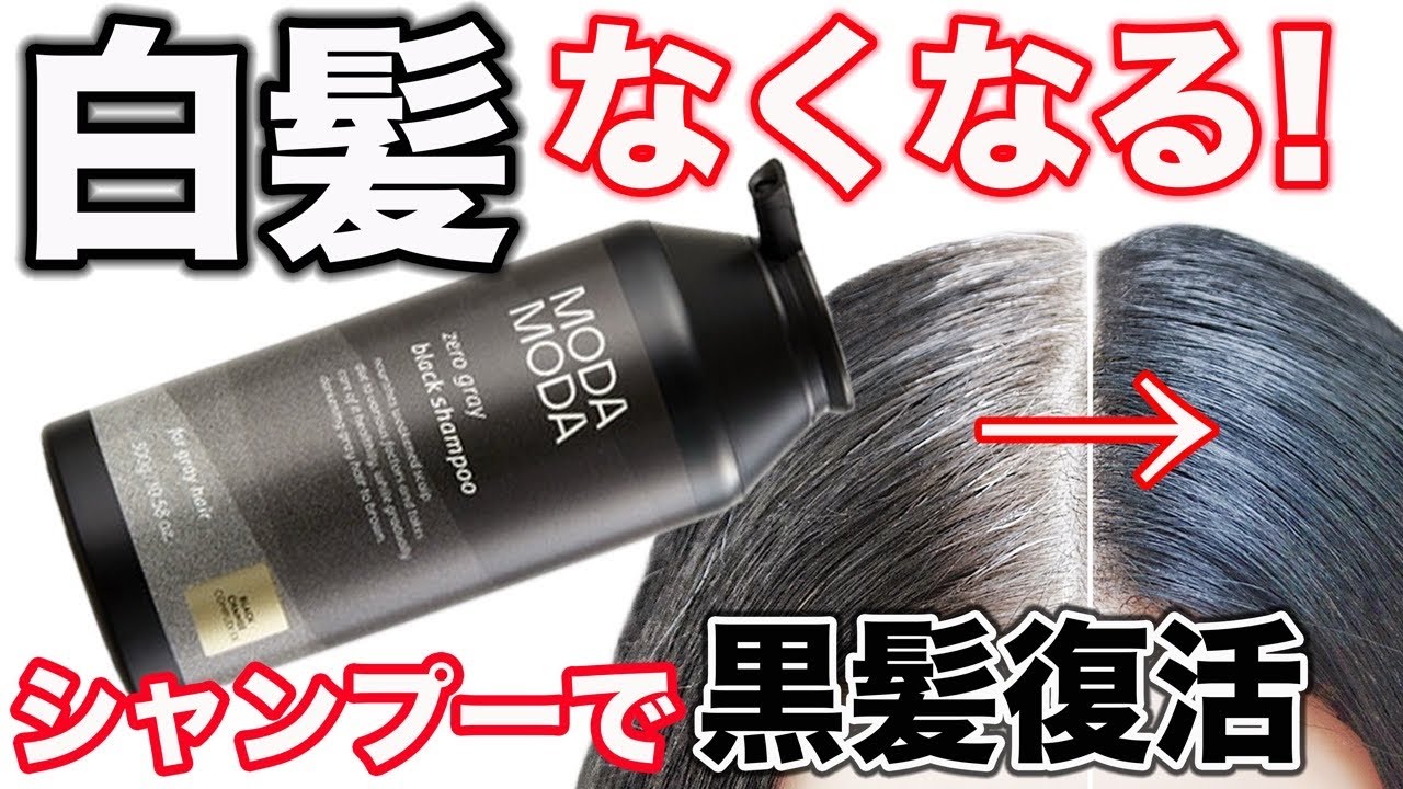 【白髪シャンプー】使うたびに自然に染まる！MODAMODAを美容師が検証！