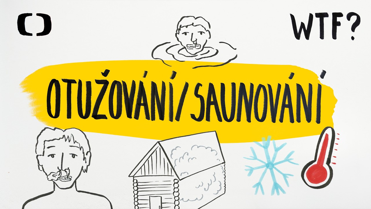 Jak funguje otužování a saunování? | What the Fact?