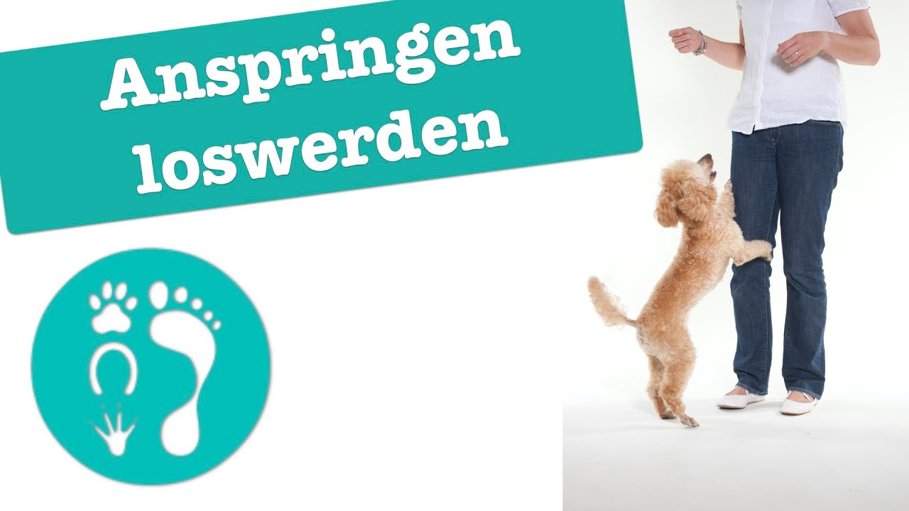 Anspringen loswerden - die schnellste Methode