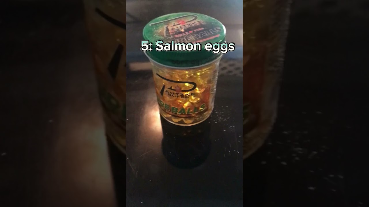 The BEST STOCKED TROUT BAITS (GUARANTEED FISH)