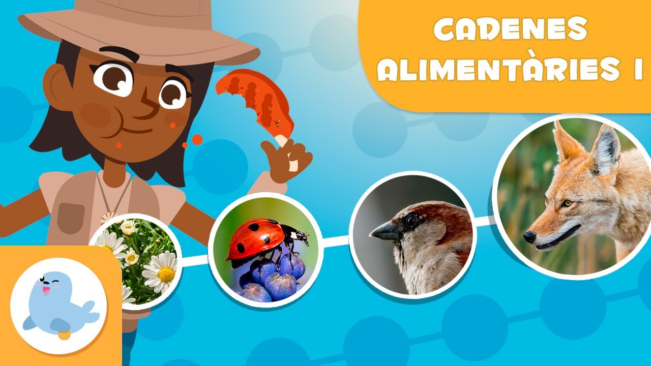 CADENES ALIMENTÀRIES per a nens 🌱⬅🐝⬅🐦⬅🐺 Nivells tròfics 🌼 Episodi 1
