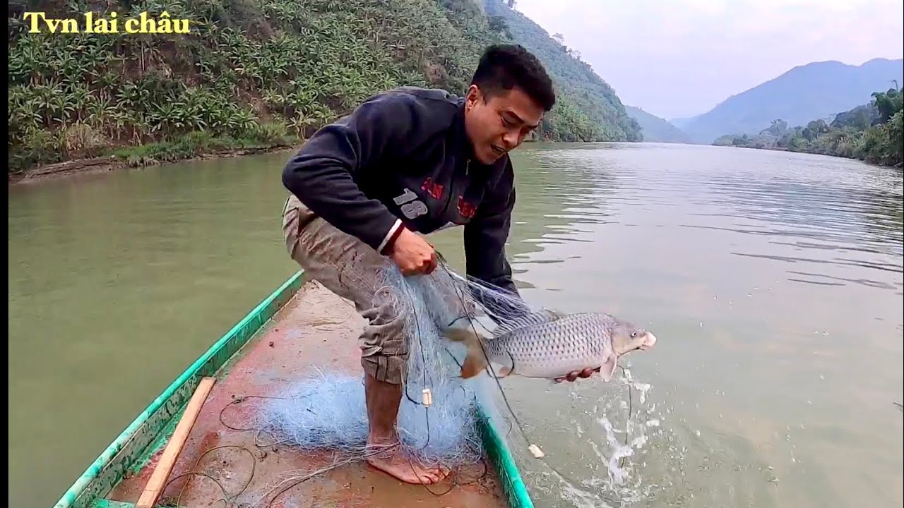 THẢ LƯỚI CÁ CAO 12m, DÍNH CHÉP KHỦNG SÔNG ĐÀ