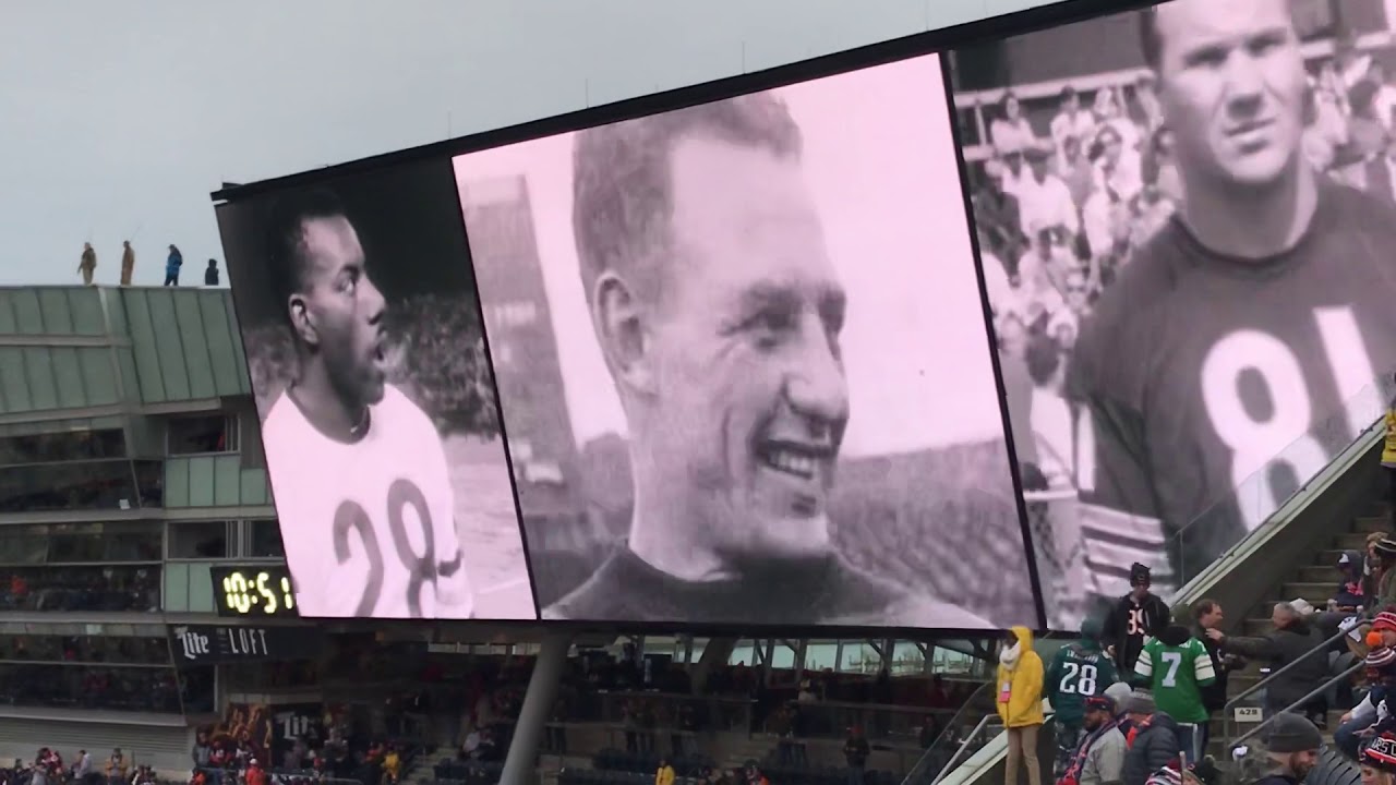 Bears 2019 Wildcard pregame