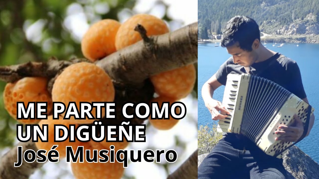 Me Parte Como un Digüeñe