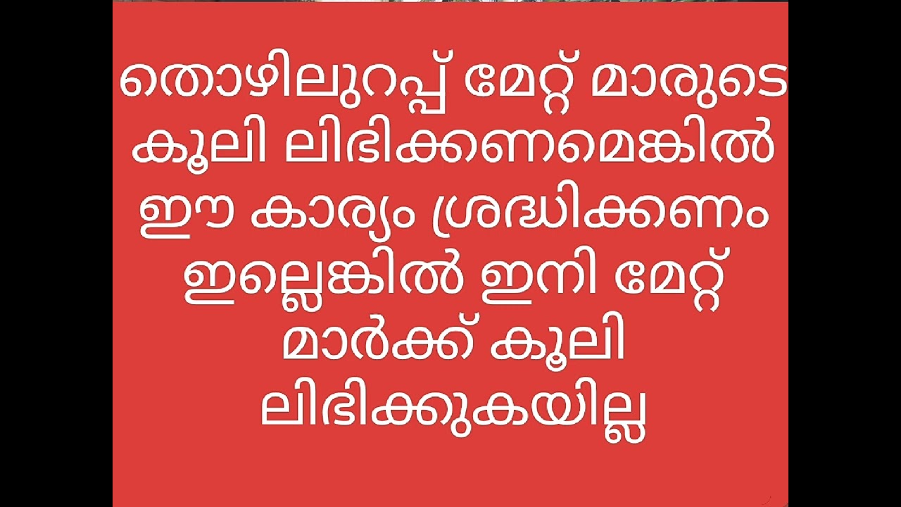 തൊഴിലുറപ്പ് മേറ്റ്മാറുടെ കൂലി ലാഭിക്കണമെങ്കിൽ ഈ കാര്യം ശ്രദ്ധിക്കണം #nmms #thoyilurap #nreg #mgnrega