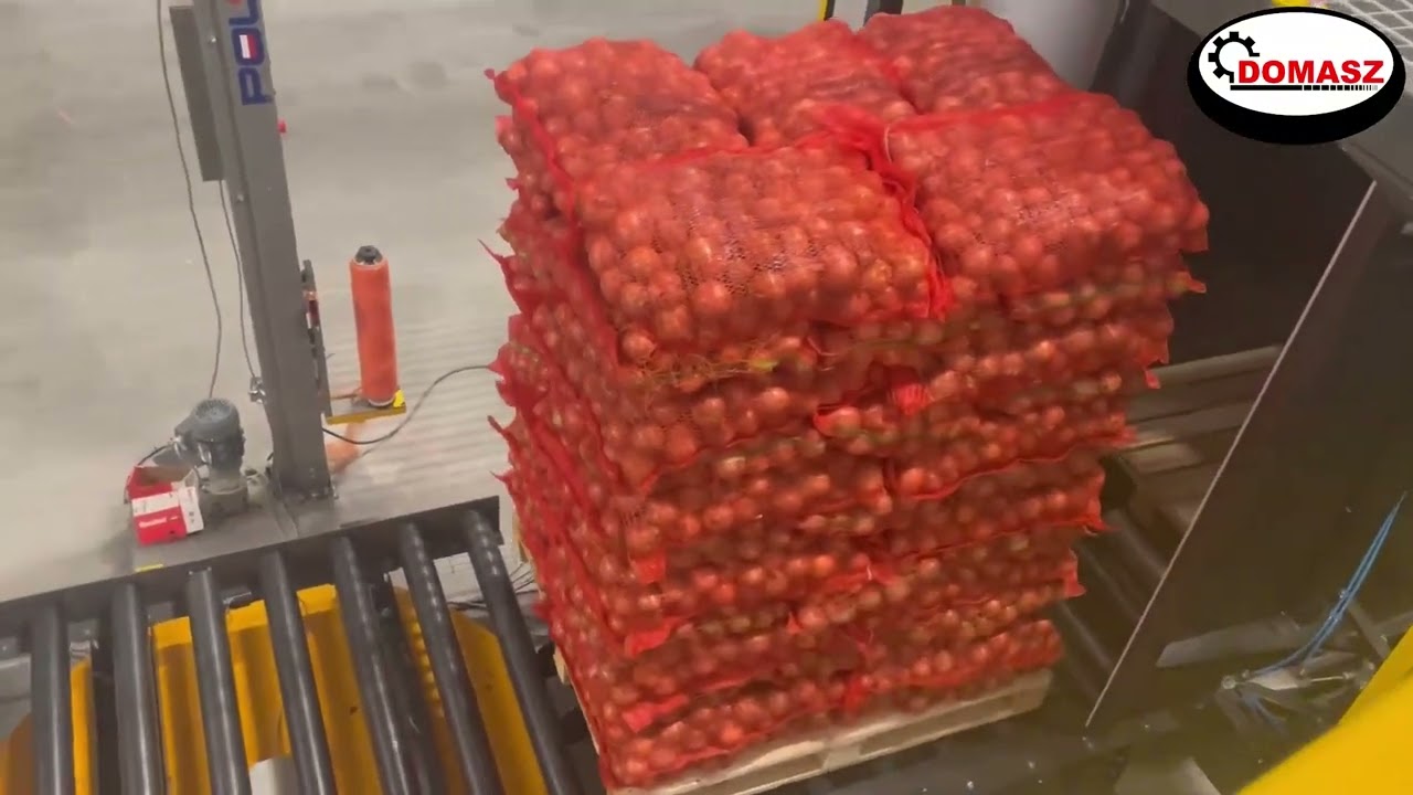 System Paletyzacji Kartezjański Domasz