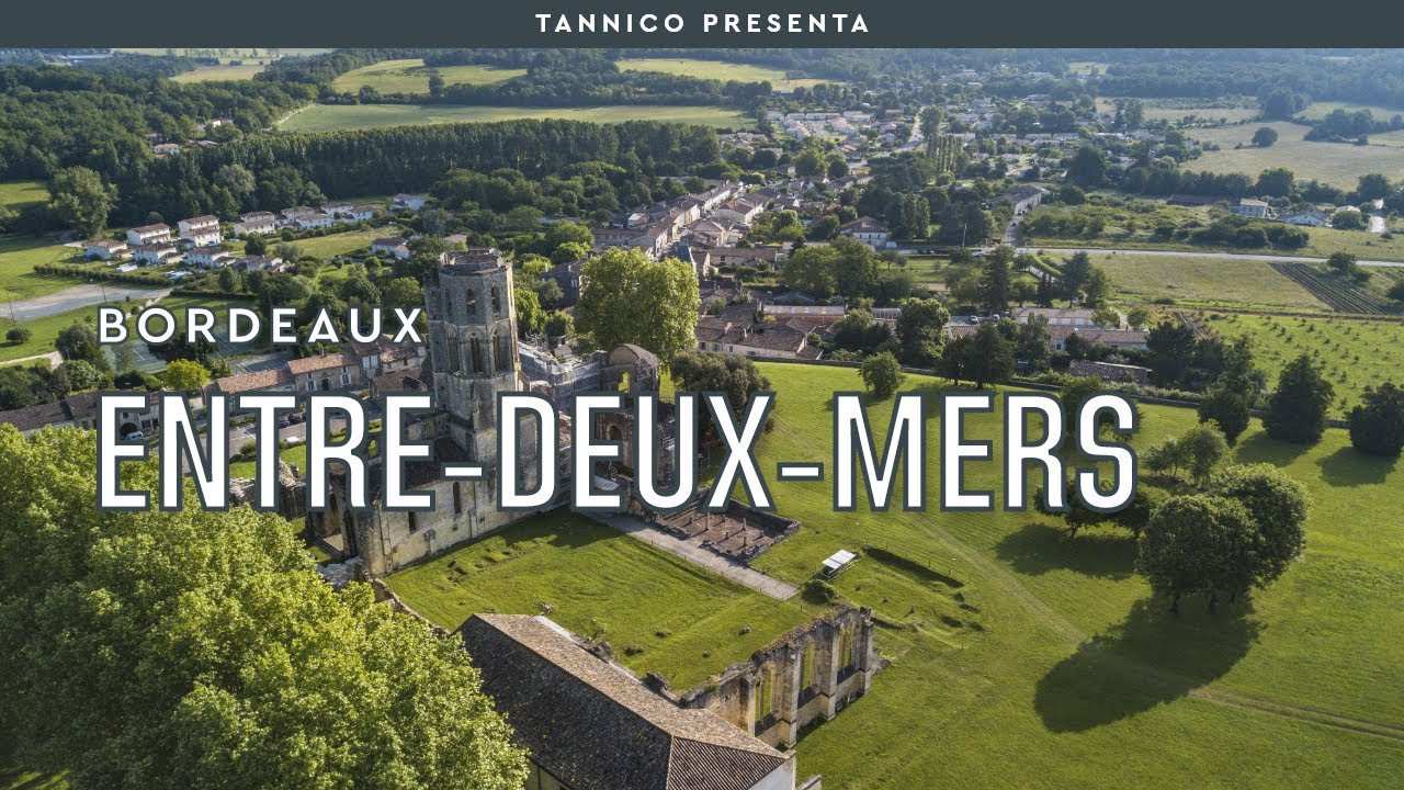 Entre-Deux-Mers: il vino quotidiano di Bordeaux | Tannico Flying School