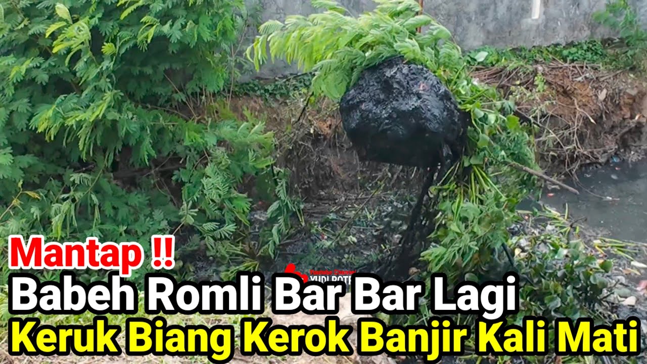 Ngeri‼️Babeh Romli Bar Bar Lagi Keruk Biang Kerok Banjir Kali Mati