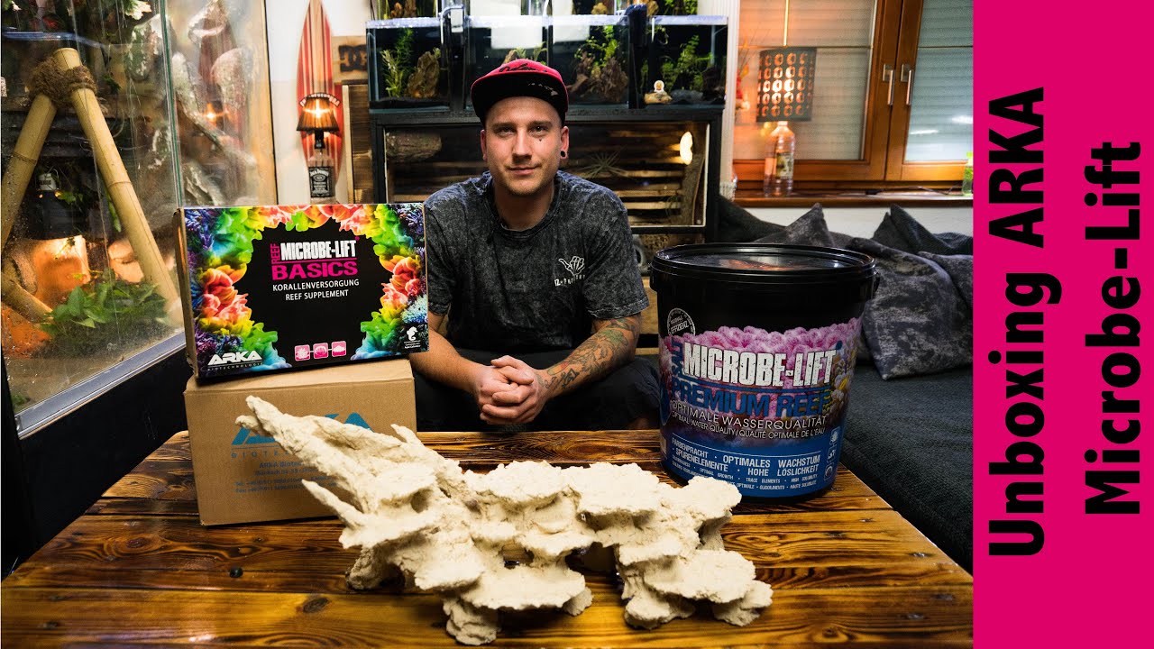 Arka Riffkeramik  Microbe-Lift Unboxing Meerwasser Projekt wir holen uns ein st&uuml;ck Hawaii Teil 3