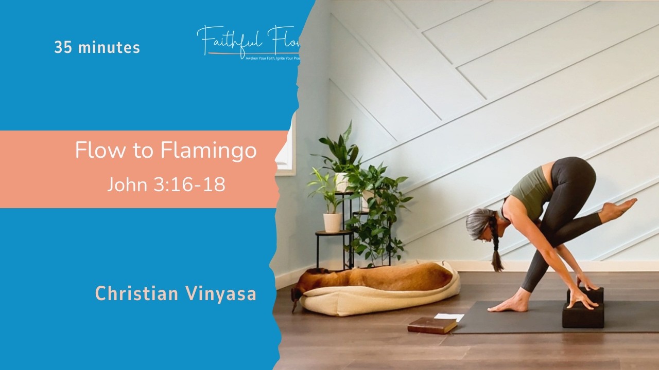 Vinyasa Flow | John 3:16 Flow to Flamingo | Intermediate | 34 minutes