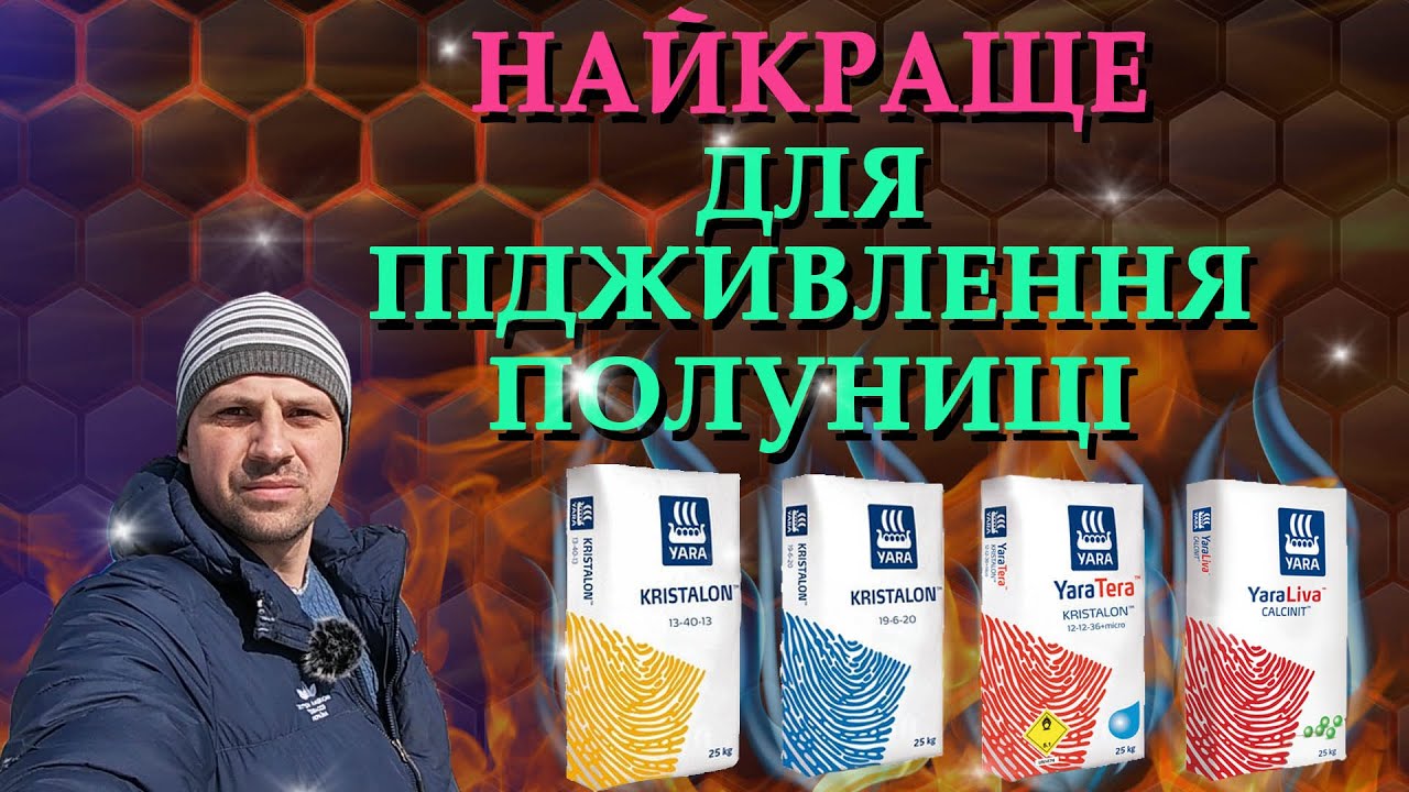 Удобрения для подкормки клубники. YARA
