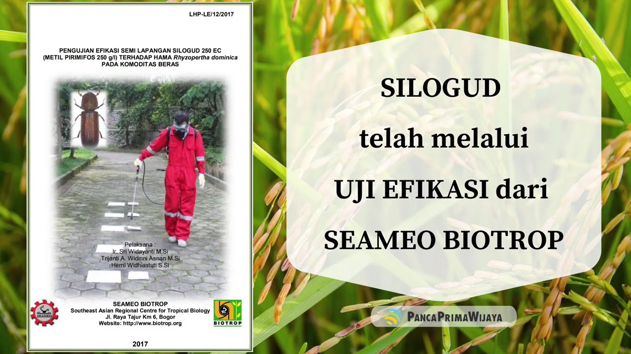 Hasil Uji Efikasi SILOGUD ( The Result of the Silogud Efficacy Test ) English Subtitles Available
