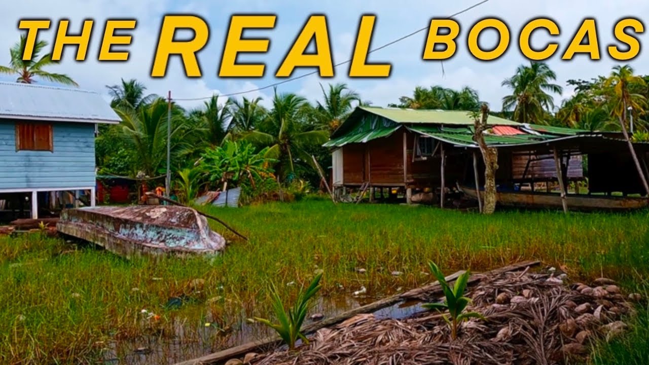 Uncut POV walk around Isla Carenero, Bocas del Toro