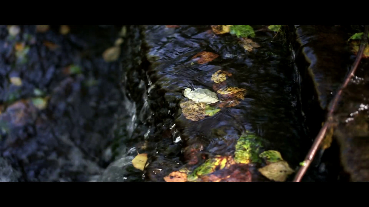 Sony A6000 - OSS 35mm 1.8 - cinematic video sample reel film - Summer mood film Hamburg Germany