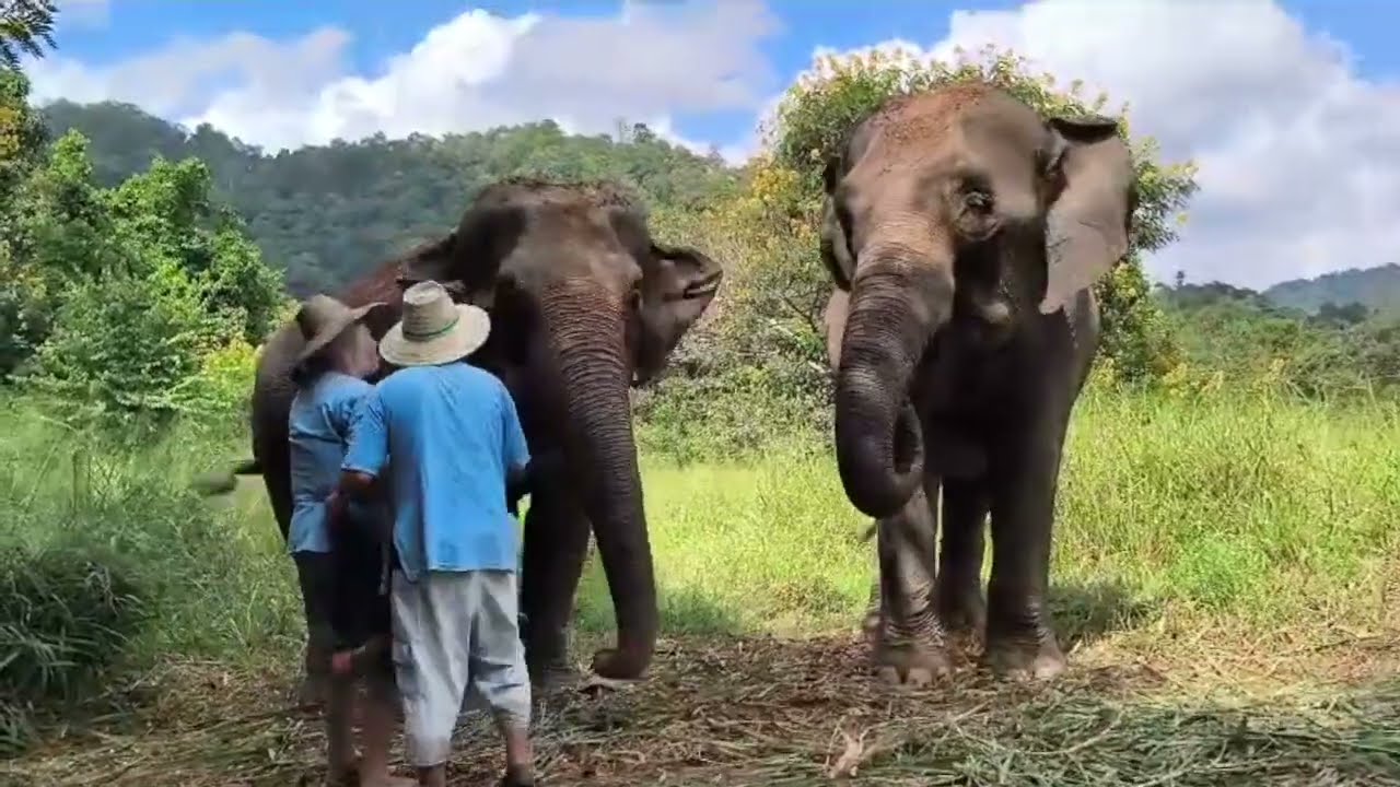 Thailand Roundtrip in 24 days (Part 2)