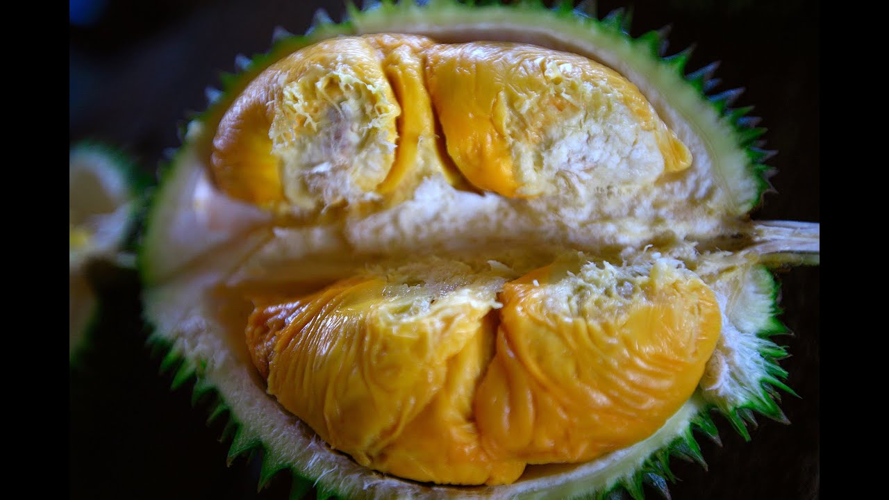 Bao Sheng Durian Farm Durian tasting with Bao Sheng the best organic durian in the world!