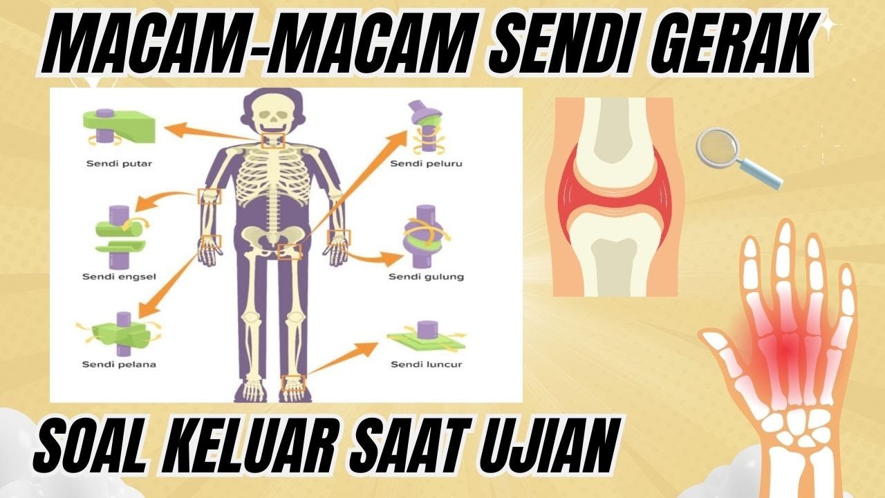 SOAL UJIAN SEKOLAH KELAS 6 TENTANG MACAM GERAK SENDI BESERTA PEMBAHASANNYA