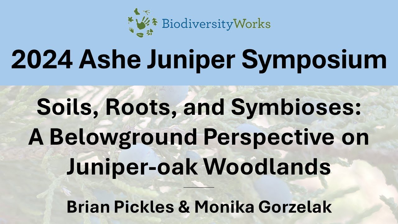 8. Soils, Roots, and Symbioses: A Belowground Perspective on Juniper-oak Woodlands