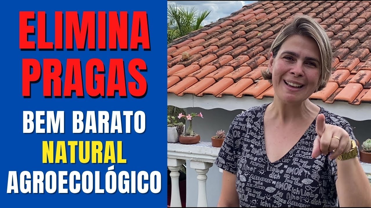 RESOLVA seu PROBLEMAS de Jardinagem gastando POUCO/Grazi Bittencourt