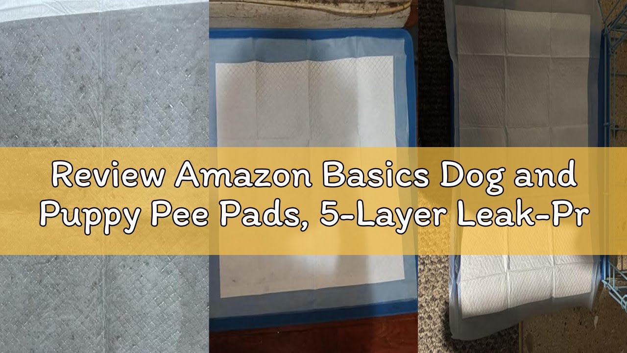 Review Amazon Basics Dog and Puppy Pee Pads, 5-Layer Leak-Proof Super Absorbent, Quick-Dry Surface,