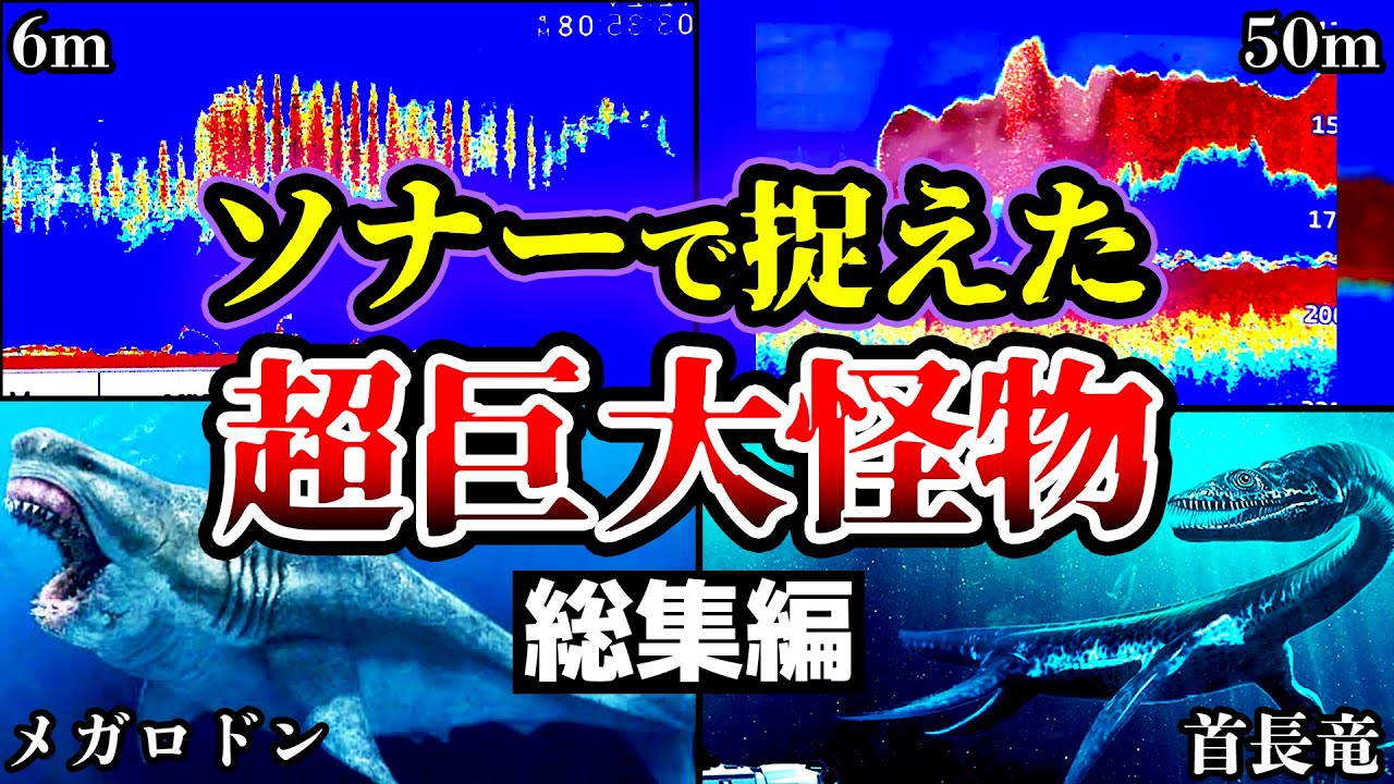 【2024年SP】巨大生物の巣をソナー探知機で調査した結果…ヤバい怪物を捉えた…眠れないほど面白い水中の巨大生物たち【総集編】【ゆっくり解説】【UMA•未確認生物】