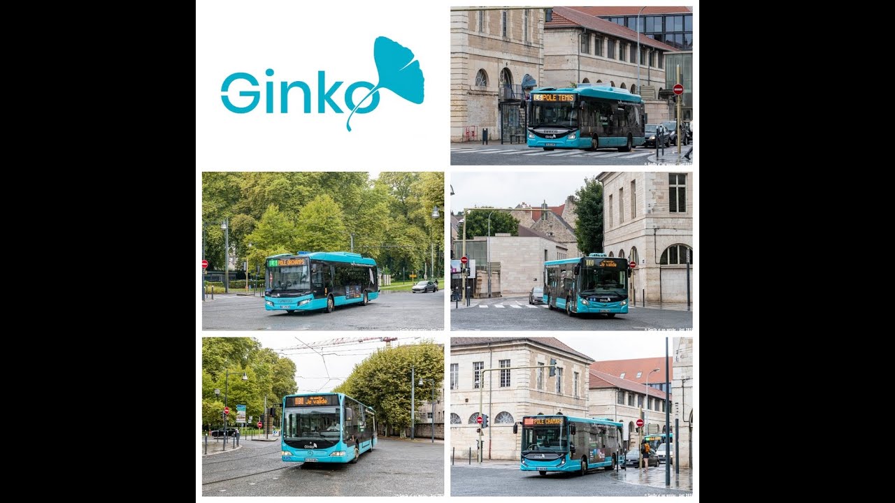 réseau ginko #1