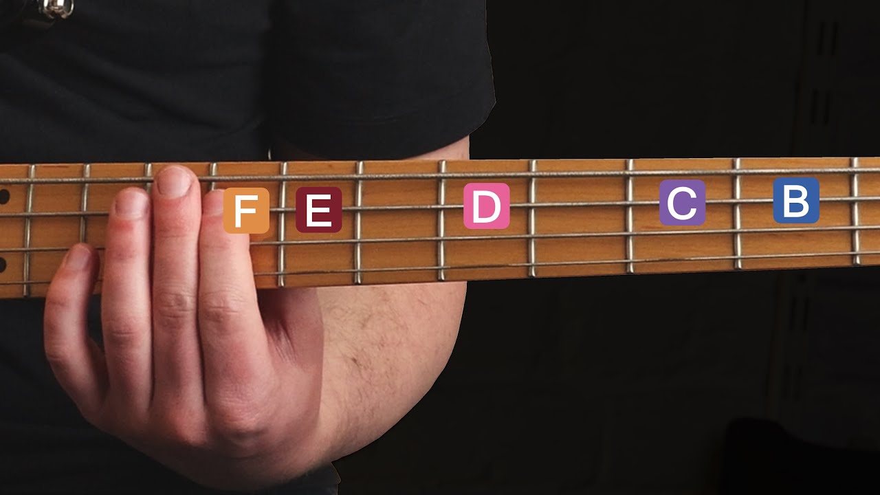 How to Find NOTES on the Bass Fretboard - Beginner Bass Lesson
