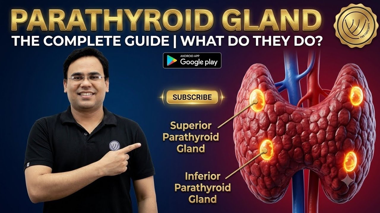PARATHYROID GLAND | CALCIUM AND PHOSPHATE METABOLISM | ENDOCRINOLOGY