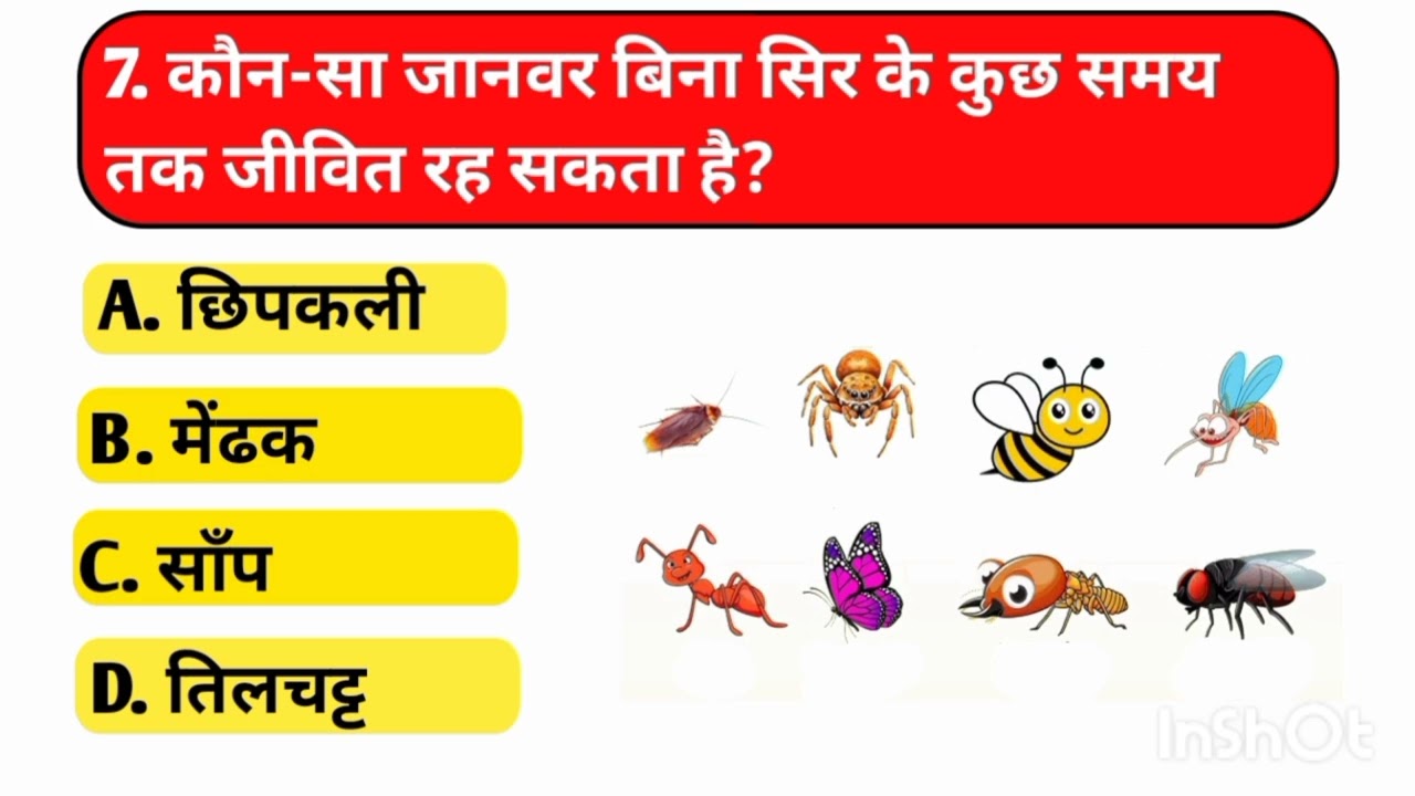 🔥 Top 10 GK Questions | Aaj Ka GK Test | Dimag Hila Dene Wale Sawal 🤯 GK-GYAN 