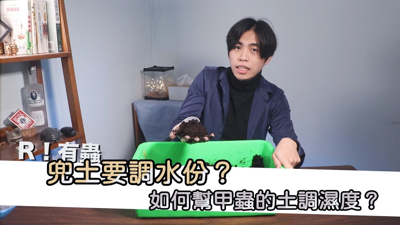 『R！有蟲系列』要如何幫甲蟲的土調濕度？｜獨角仙幼蟲、兜蟲幼蟲的兜土要怎麼調水份【R帥邊磨樹】