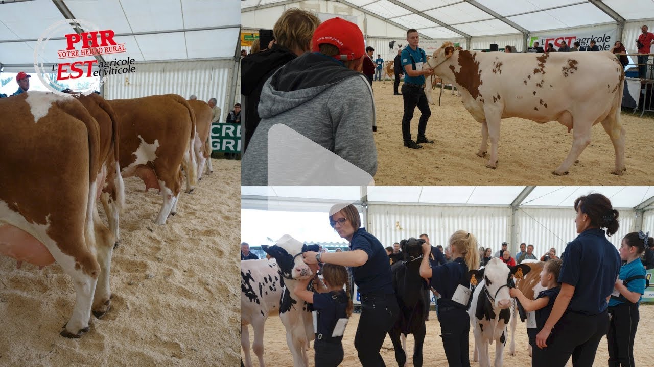 Festival de l'élevage 2018 : du haut niveau, de la jeunesse et de l'action