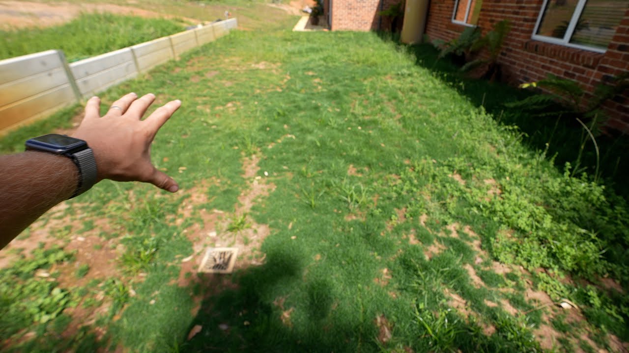 How I'm Going To Fix this Lawn  // Project Lawn Update