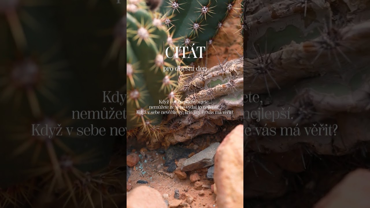 ASMR pro lepší ráno | citát na každý den CXVII. ☀️