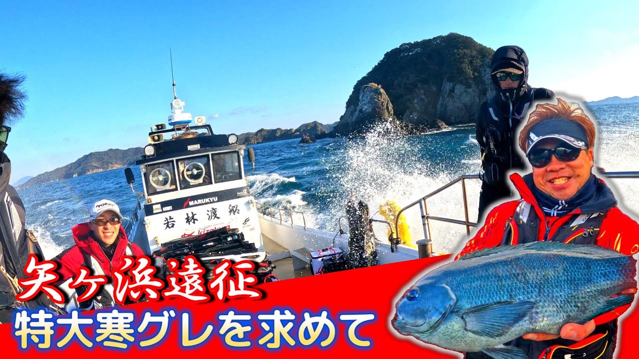 【宇和海遠征】特大寒グレを求めて愛媛県矢ヶ浜へ行ってみた！