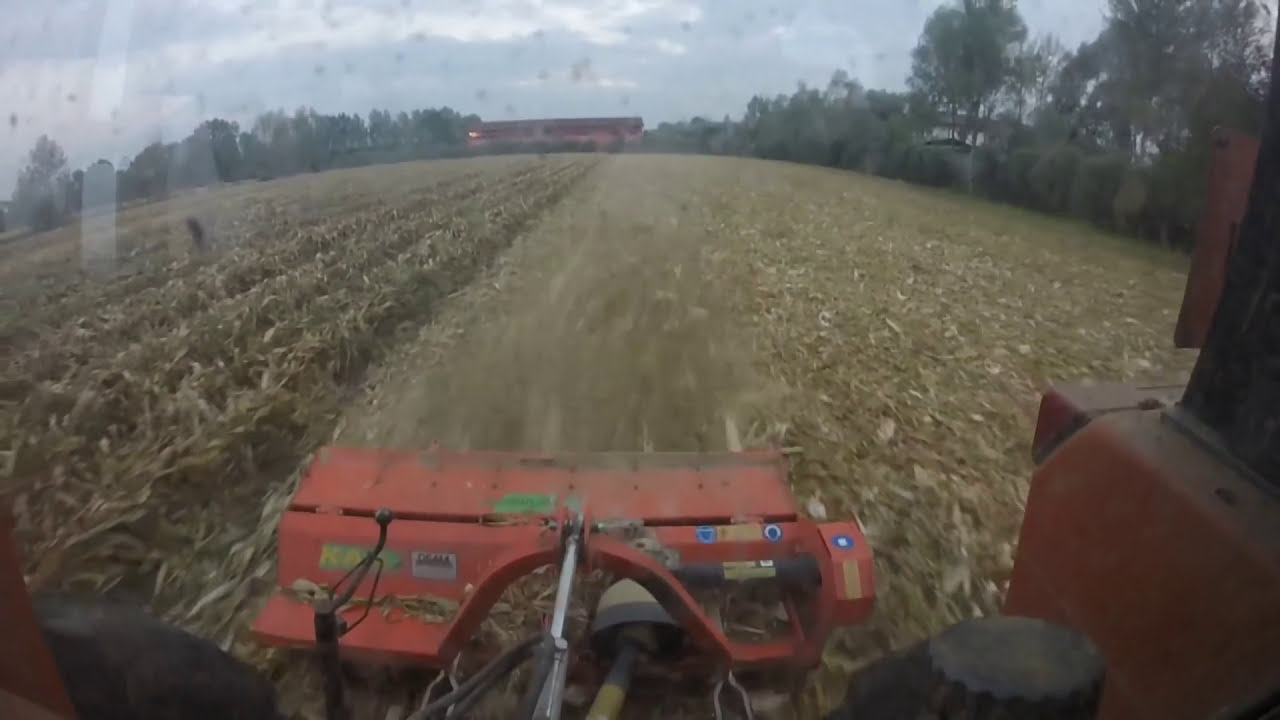Fiat 680 e Agrimaster in trinciatura stocchi di mais - shredding corn stalks
