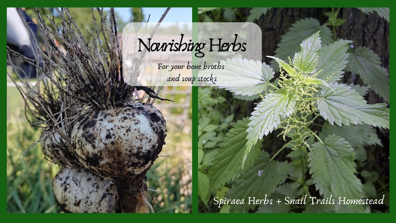Adding Nourishing Herbs to Your Soup/Bone Broths