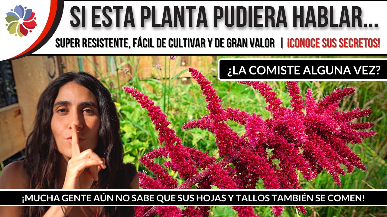 🌱 Esta PLANTA no es una 