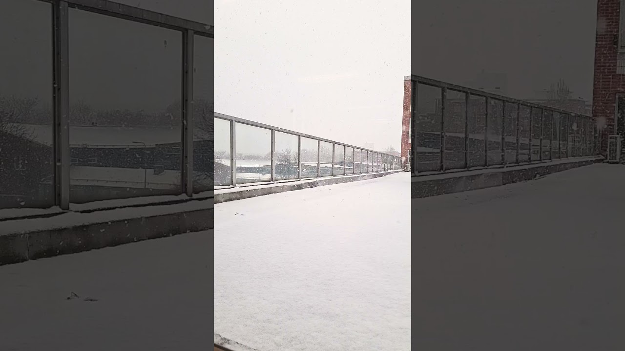 Våren snöfall(বসন্ত তুষারপাত)