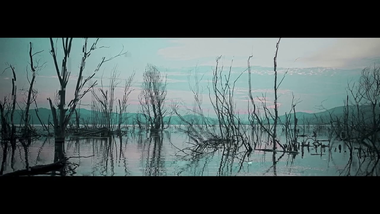 HGEMONA$ - “ Plata Ø Plomo “ Prod. By HV$K (Official Music Video)