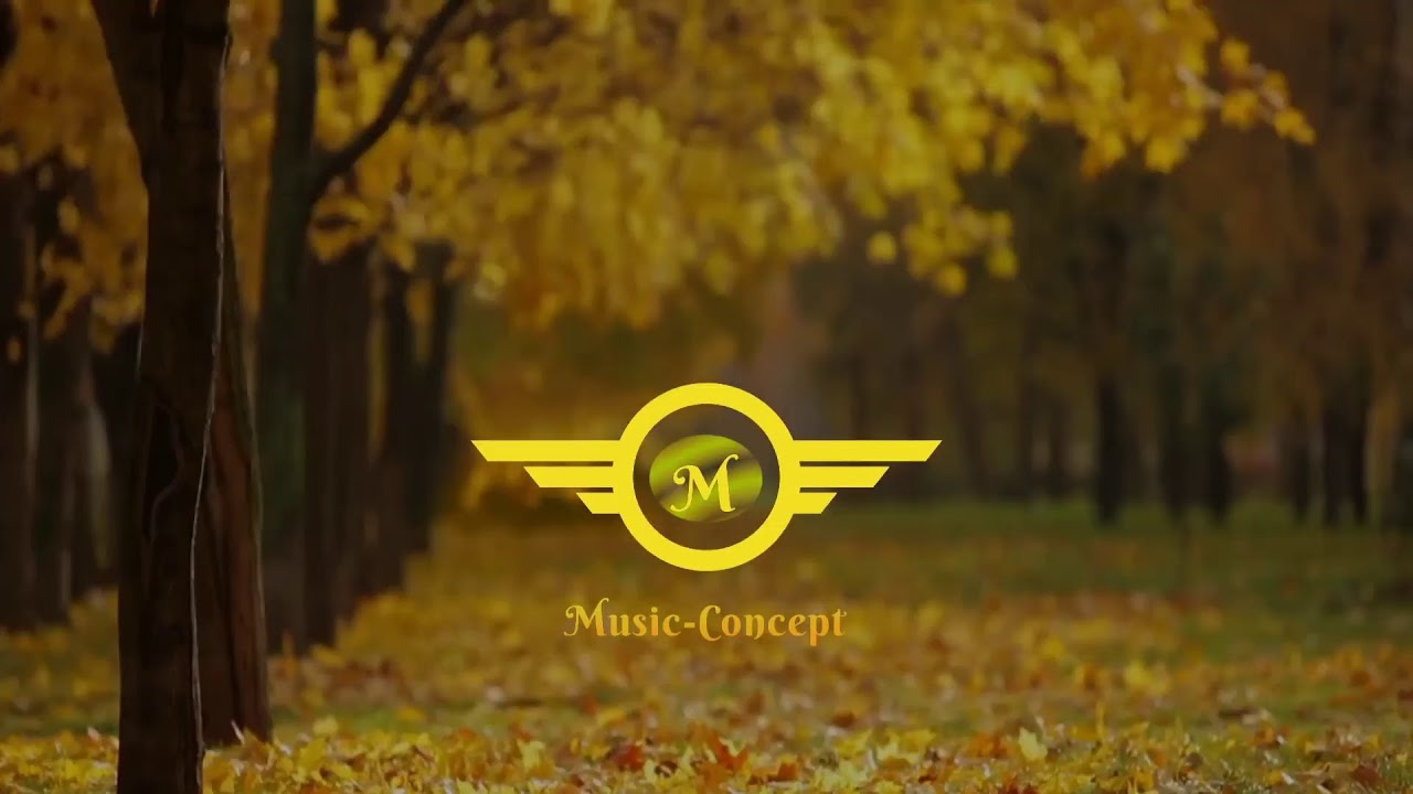 Relaxing Music- Live Streaming- Music Concept Release